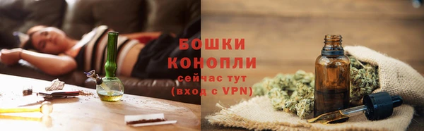 крисы Бугульма