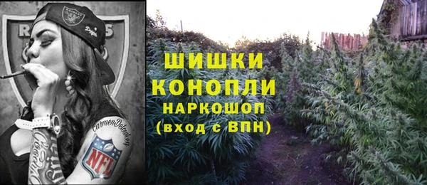 гидропоника Бородино