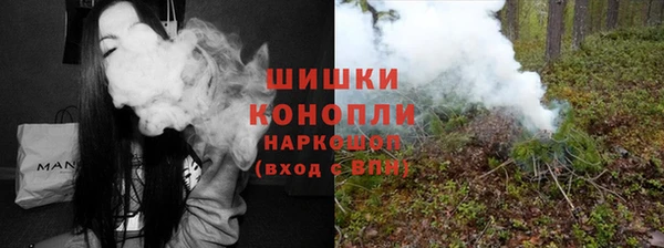гидропоника Бородино