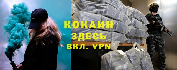ПСИЛОЦИБИНОВЫЕ ГРИБЫ Богданович
