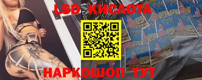 jwh Камышлов