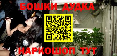 индика Абакан
