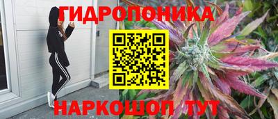 ПСИЛОЦИБИНОВЫЕ ГРИБЫ Кандалакша