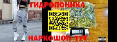 ПСИЛОЦИБИНОВЫЕ ГРИБЫ Кандалакша